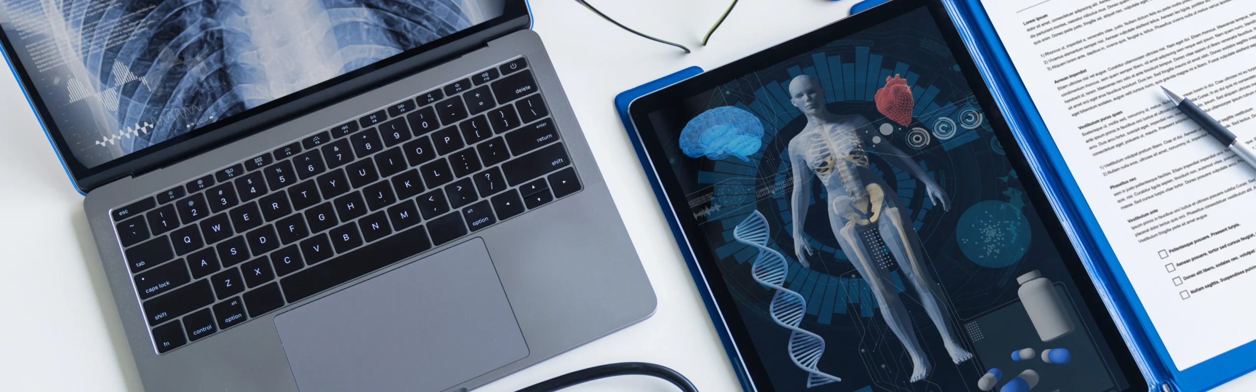A workspace features a laptop and a tablet displaying medical imagery. The laptop screen shows a grayscale X-ray of a chest cavity. The tablet screen displays a vibrant, colorful, digital rendering of the human body.